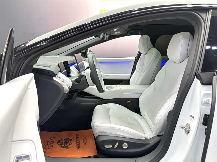 Фото 5 - XPeng F57