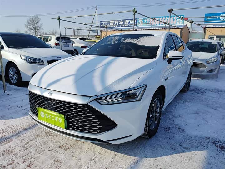Фото 2 - BYD Qin Plus