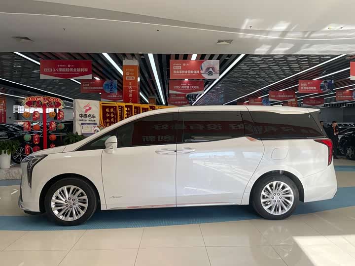 Фото 4 - Buick GL8 Century