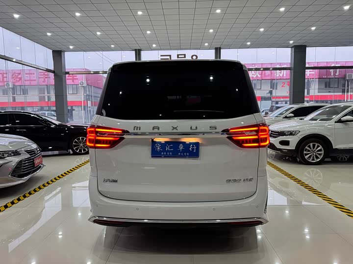 Фото 5 - Maxus G20