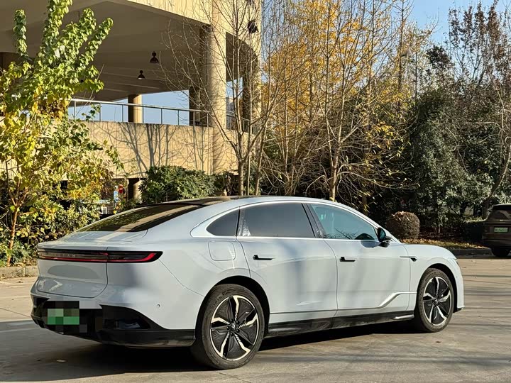 Фото 7 - Voyah Passion