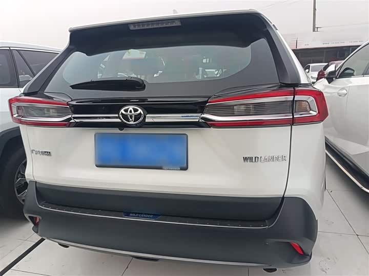 Фото 6 - Toyota Wildlander