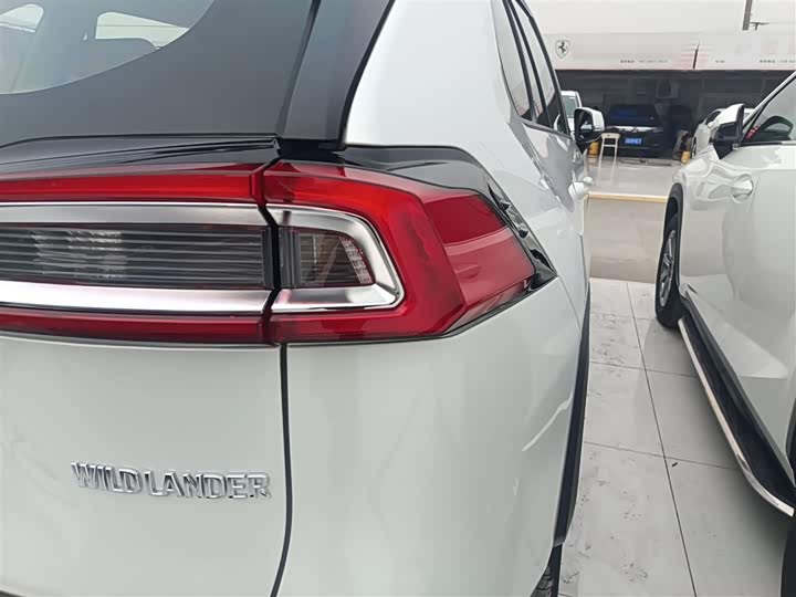 Фото 8 - Toyota Wildlander