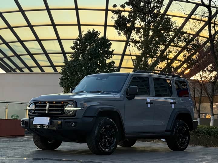 Фото 1 - Tank 300