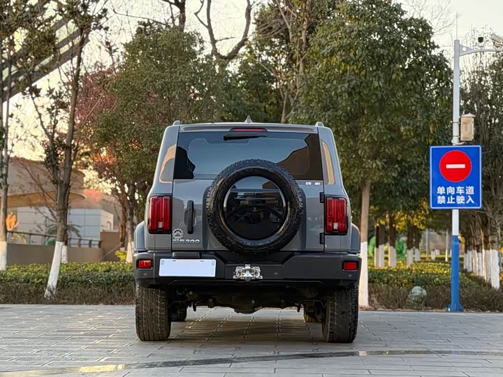 Фото 8 - Tank 300