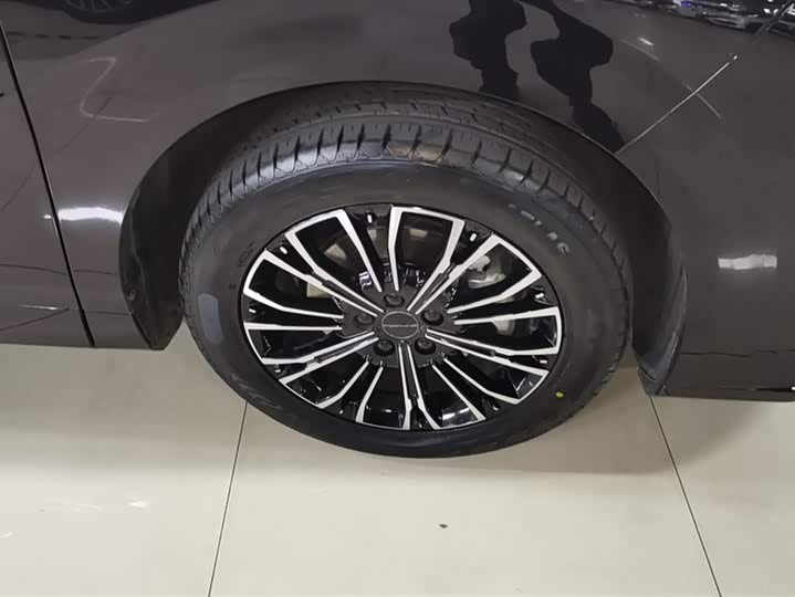 Фото 6 - Dongfeng Forthing Xinghai V9