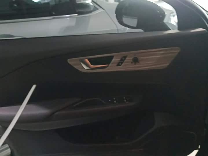 Фото 7 - Hongqi E-QM5