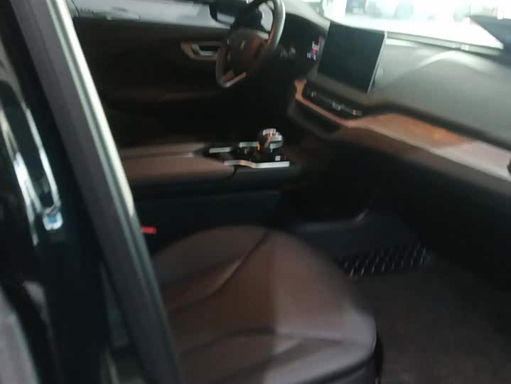 Фото 8 - Hongqi E-QM5