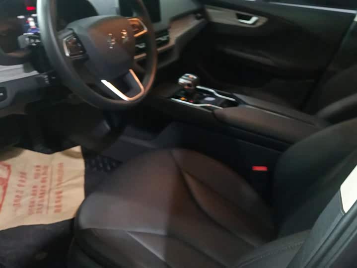 Фото 9 - Hongqi E-QM5