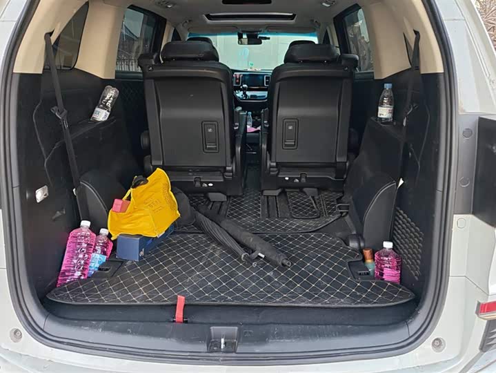 Фото 4 - Honda Elysion