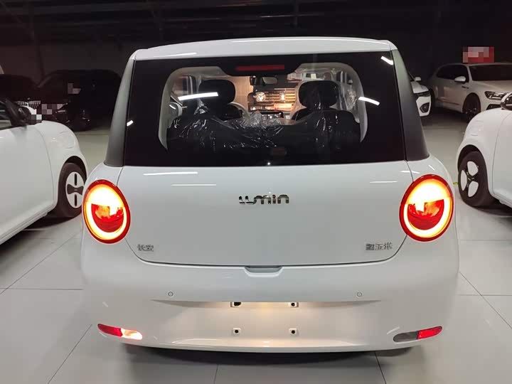 Фото 6 - Changan Qiyuan (Nevo) Lumin