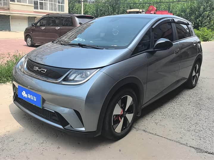 Фото 1 - BYD Dolphin