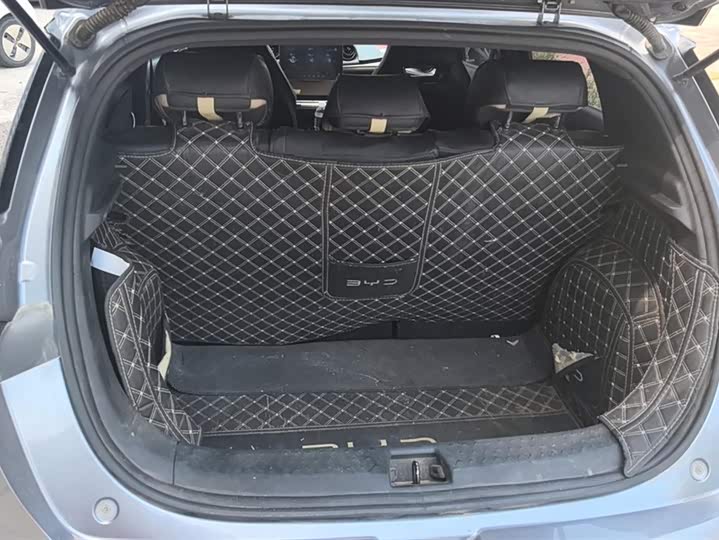 Фото 4 - BYD Dolphin