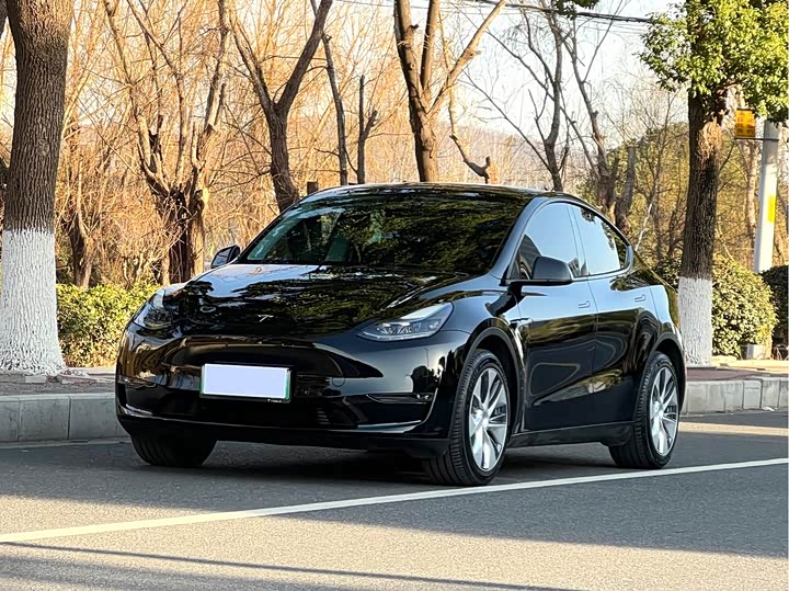 Фото 1 - Tesla Model Y