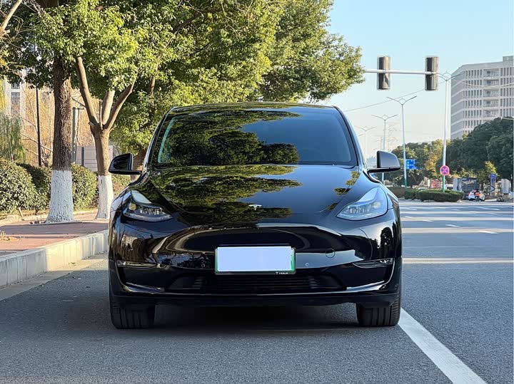 Фото 2 - Tesla Model Y