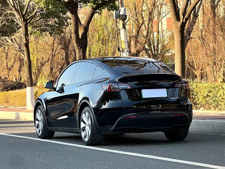 Фото 5 - Tesla Model Y