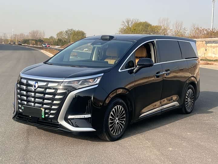 Фото 1 - Denza D9