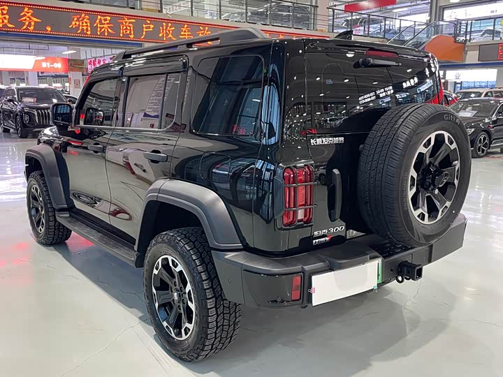 Фото 4 - Tank 300 Hybrid