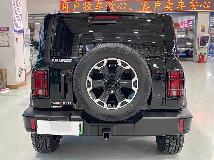 Фото 5 - Tank 300 Hybrid