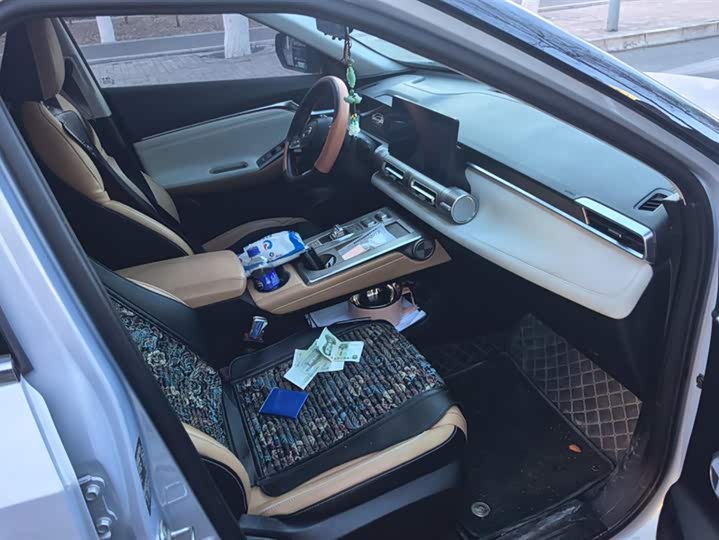 Фото 8 - GAC Trumpchi Emkoo