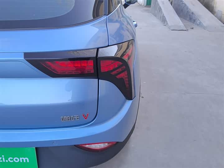 Фото 8 - Hozon V