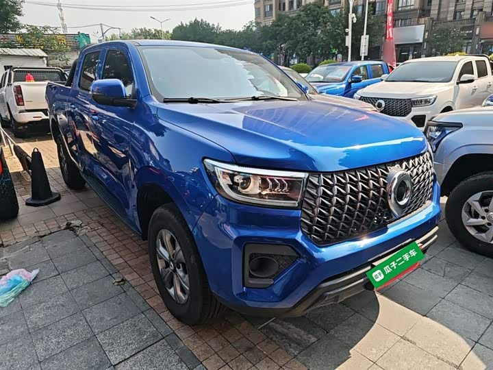 Фото 4 - Great Wall Pao