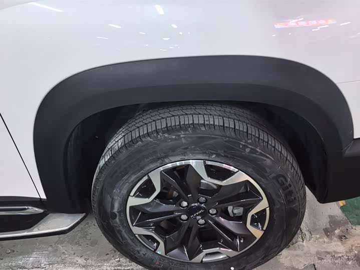 Фото 6 - Haval Dargo