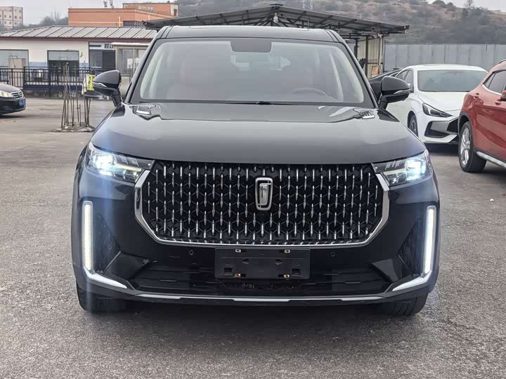 Фото 1 - Bestune T99