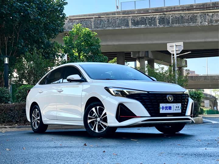 Фото 6 - Changan Eado Plus