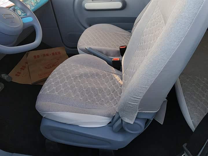 Фото 9 - Bestune Pony