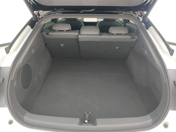 Фото 4 - XPeng F57