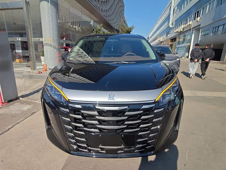 Фото 3 - BYD Xia