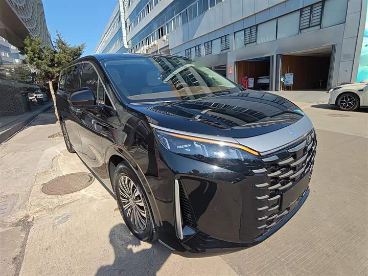 Фото 4 - BYD Xia