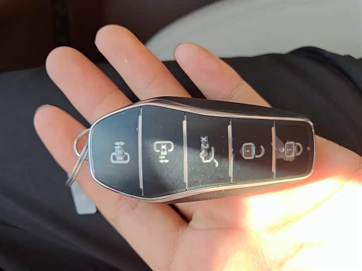 Фото 9 - BYD Xia