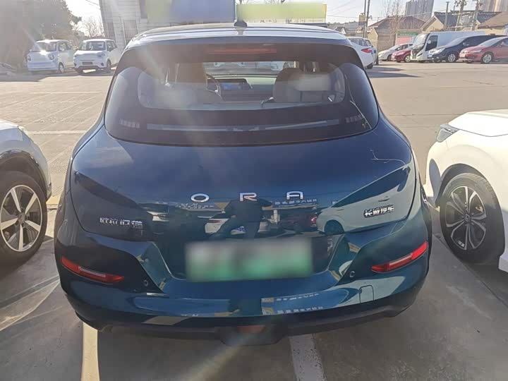 Фото 6 - Ora Good Cat (03)