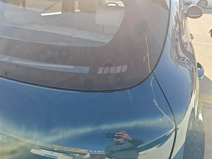 Фото 8 - Ora Good Cat (03)