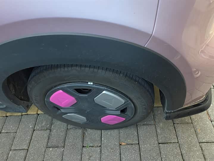 Фото 6 - Geely Galaxy Panda Mini