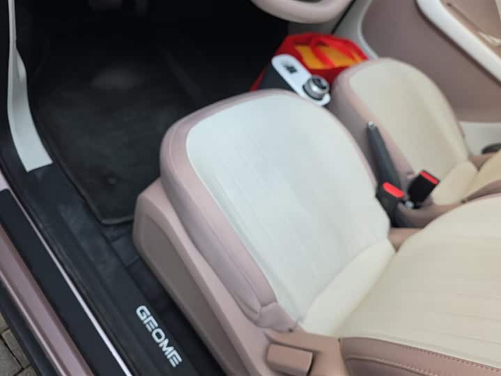 Фото 9 - Geely Galaxy Panda Mini