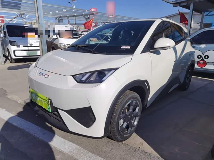 Фото 1 - BYD Seagull