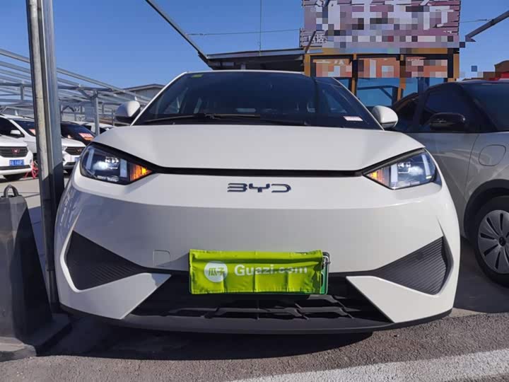 Фото 3 - BYD Seagull