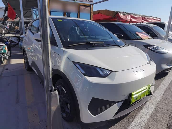 Фото 4 - BYD Seagull