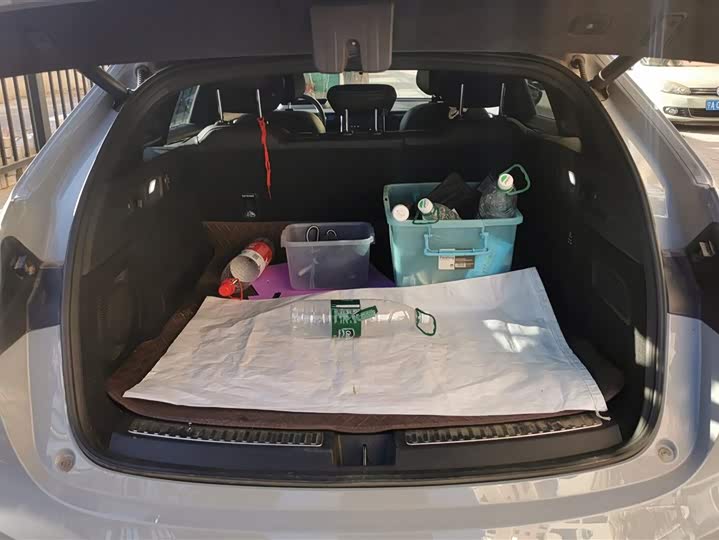 Фото 4 - Hozon S Hunting