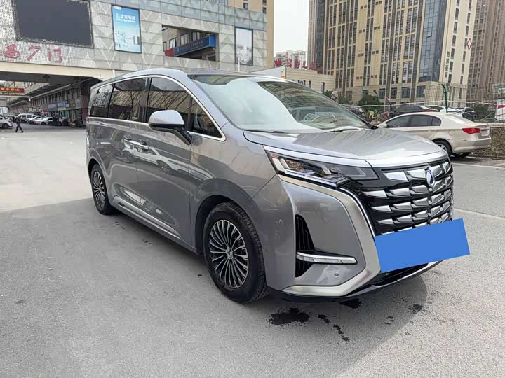 Фото 1 - Denza D9