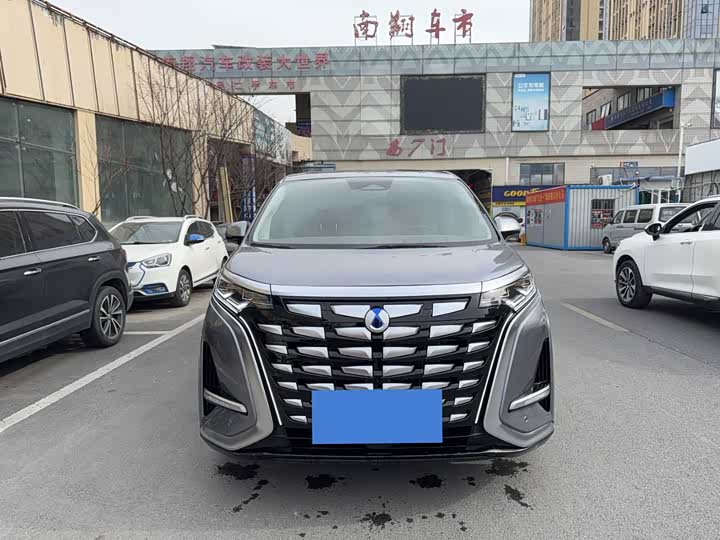 Фото 2 - Denza D9