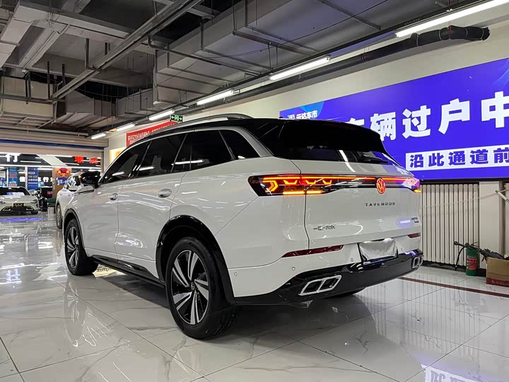 Фото 3 - Volkswagen Tavendor