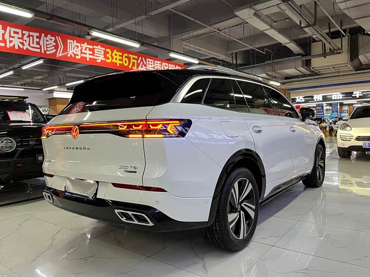 Фото 5 - Volkswagen Tavendor