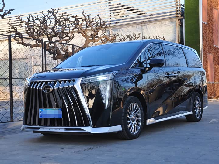 Фото 1 - GAC Trumpchi M8