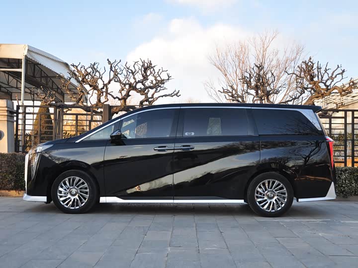 Фото 5 - GAC Trumpchi M8