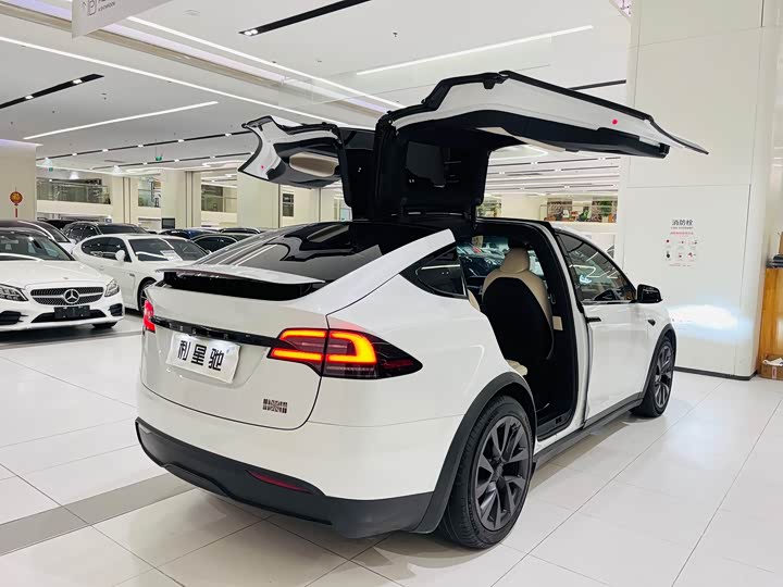 Фото 4 - Tesla Model X