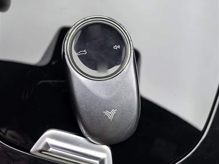 Фото 8 - Hozon S